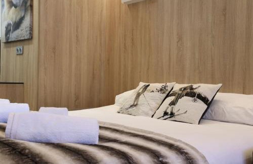 Vielha e Mijaran Apartment | Apartamento Hartza