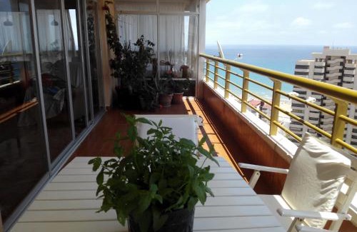Playa de San Juan Apartment | Apartamento Leo Playa de San Juan