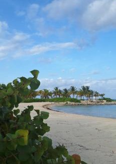 Punta Cana Apartment | Apartamento nuevo Cap Cana
