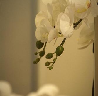 Valladolid Apartment | Apartamento Paula