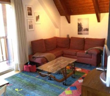 Formigal Apartment | Apartamento Saliecho 3