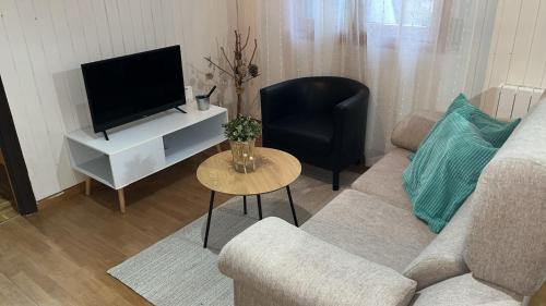 Villanua Apartment | Apartamento Selva Blanca