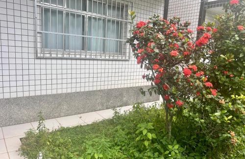 Braga Apartment | Apartamento Sol das Dunas