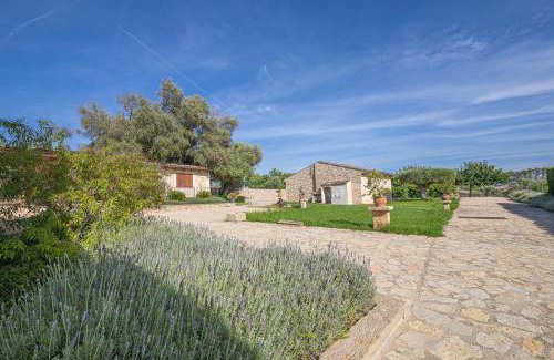 Petra Apartment | Apartamento Son Calo F by Rentallorca