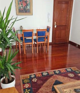 Renedo Apartment | APARTAMENTO VALDEARENAS