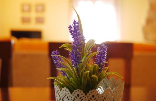 Larrede Apartment | Apartamentos Casa Cecilia