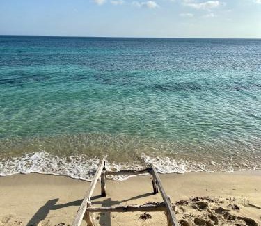 Formentera Apartment | Apartamentos Laura Playa de Migjorn
