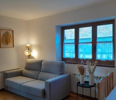 Linsoles Apartment | Apartamentos Nevados 24610