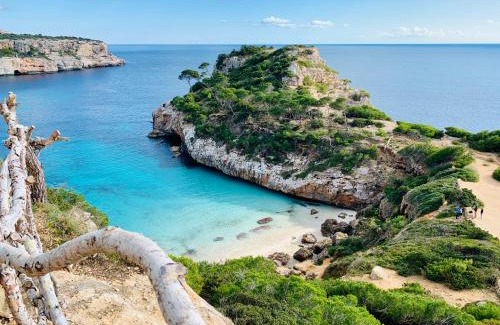Cala Figuera Apartment | Apartaments Marina Sol i Pins