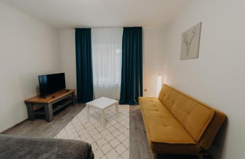Vatra Dornei Apartment | Apartamentul Galben