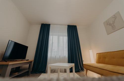 Vatra Dornei Apartment | Apartamentul Galben