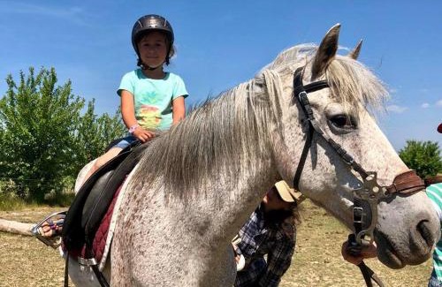 Wiselka Apartment | Apartamenty Beata Wisełka