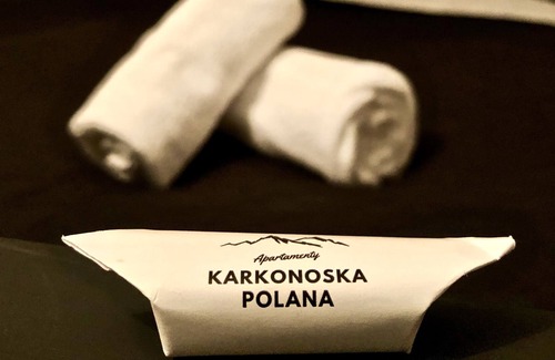 Staniszow House | Apartamenty Karkonoska Polana Stylowa Przestrzeń z Dala od Miasta