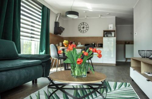 Zielona Gora Apartment | Apartamenty Leśna 1