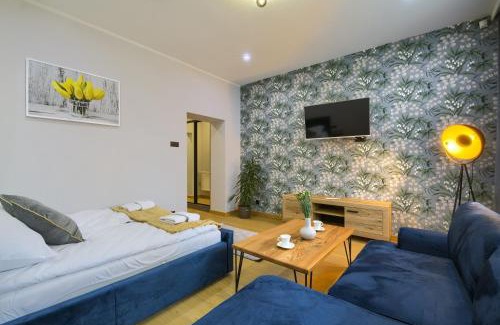 Muszyna Apartment | Apartamenty Piłsudskiego36