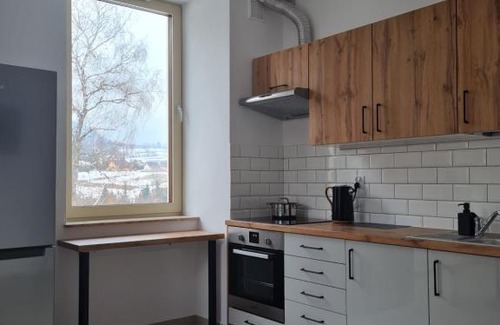 Lutowiska Apartment | Apartamenty Pod Dachem