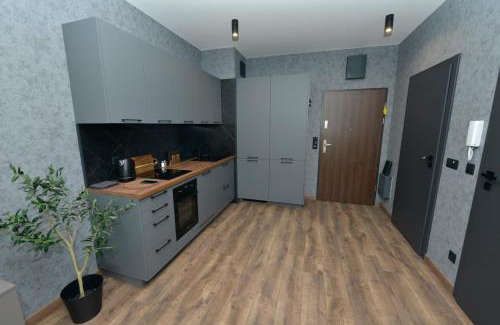 West Pomeranian Voivodeship Apartment | Apartamenty Studio Nova 1 Szczecin