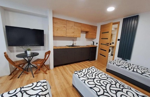 Plock Apartment | Apartamet typu studio ELEPHANT dla 4 osób