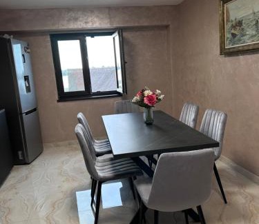 Chilia Veche Apartment | ApartHotel Chilia Veche