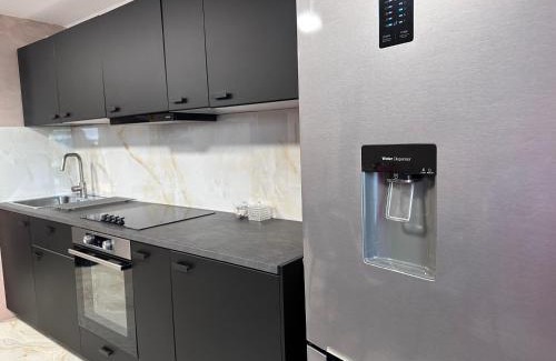 Chilia Veche Apartment | ApartHotel Chilia Veche