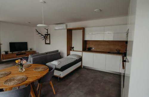 Usti Apartment | Apartmán Ústí