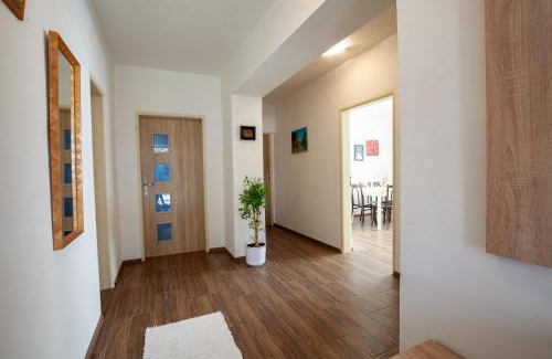 Liptovska Kokava Apartment | Apartmán ACTIVE