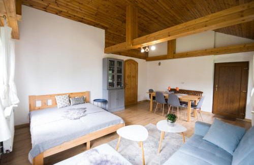 Kovacova House | Apartmán Albert v Spa dedinke