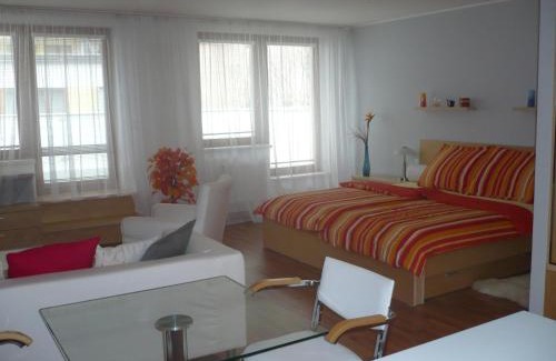 Luhacovice Apartment | Apartmán Anežka