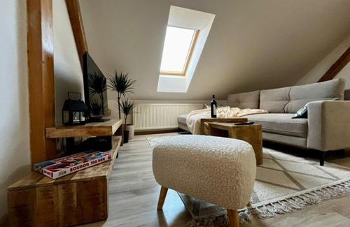 Ostrava Apartment | Apartmán Anežka, u Ostravar Arény