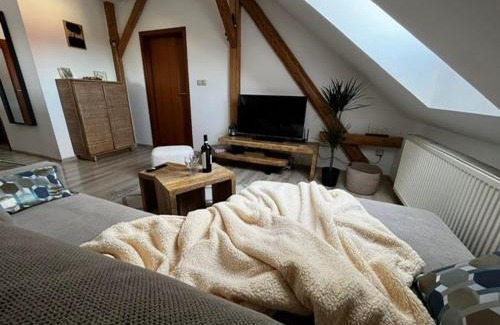 Ostrava Apartment | Apartmán Anežka, u Ostravar Arény