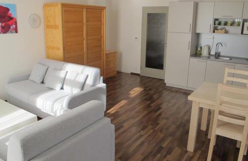 Kvilda Apartment | Apartmán Boubín na Kvildě