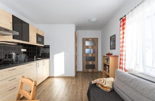 Bozi Dar Apartment | Apartmán Cubik Boží Dar