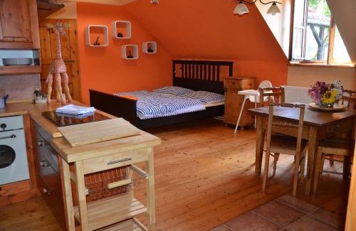Cesky Rudolec Apartment | Apartmán DOMLEJNA