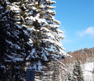 Horni Lipova Apartment | Apartmán Horní Lipová č. 3