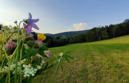 Horni Lipova Apartment | Apartmán Horní Lipová č. 3