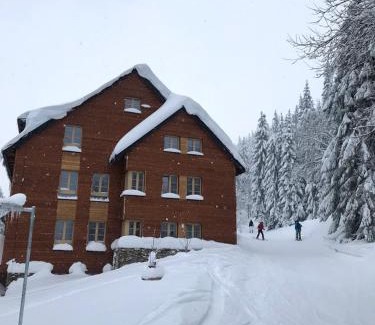 Vitkovice Apartment | Apartmán Horní Mísečky J4