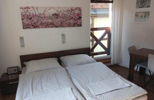 Rajecke Teplice Apartment | Apartmán KATY