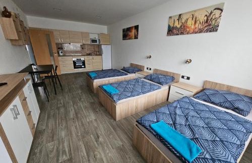 Bucovice Apartment | Apartmán Libuše