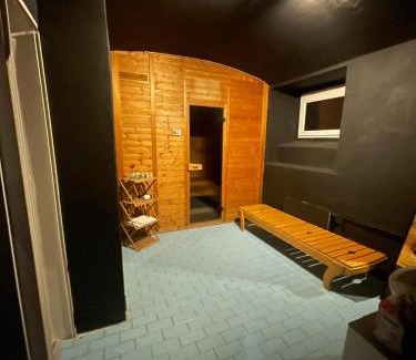 Usti nad Labem Apartment | Apartmán lion