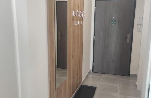 Lipno nad Vltavou Apartment | Apartmán LIPNO A3 318-9