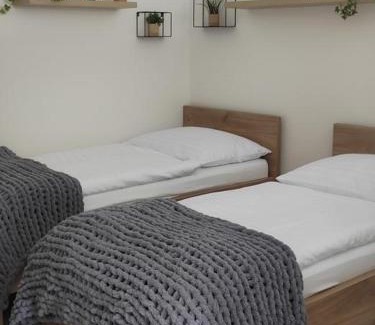 Lipno nad Vltavou Apartment | Apartmán LIPNO A3 318-9