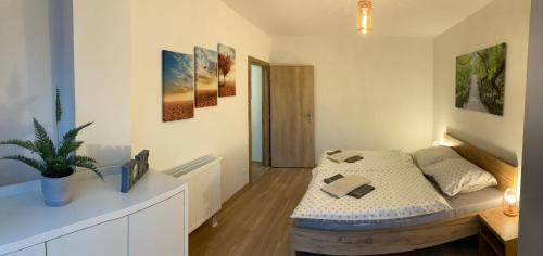 Liptovsky Jan Apartment | Apartmán Liptovsky Ján