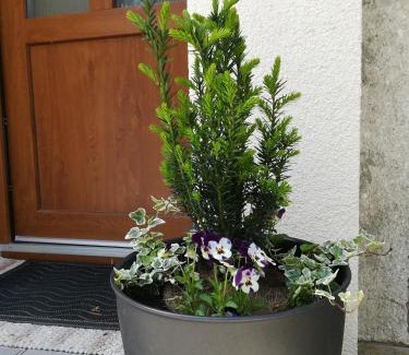 Luhacovice Apartment | Apartmán na výsluní