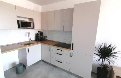 Roznov Pod Radhostem Apartment | Apartmán Radhošť