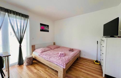 Cerna V Posumavi Apartment | Apartmán Roda1 Malé Lipno