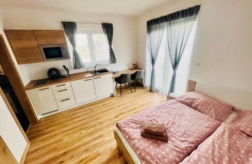 Cerna V Posumavi Apartment | Apartmán Roda1 Malé Lipno