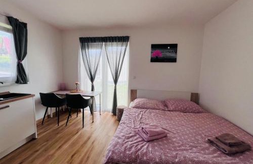 Cerna V Posumavi Apartment | Apartmán Roda1 Malé Lipno