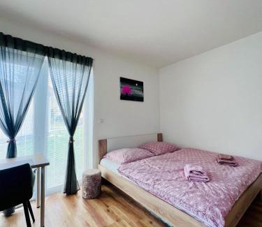 Cerna V Posumavi Apartment | Apartmán Roda1 Malé Lipno
