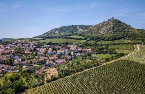 Pavlov Apartment | Apartmán se sklípkem