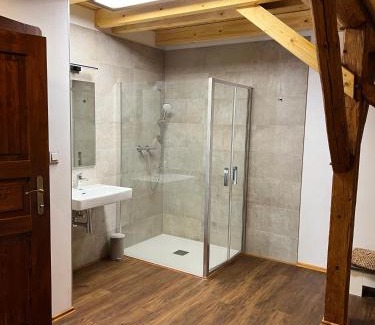 Horovicky Apartment | Apartmán typu Loft